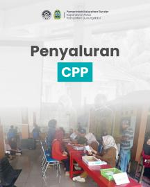 Penyaluran CPP Beras